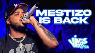 Mestizo Is Back : Vibras En Vivo