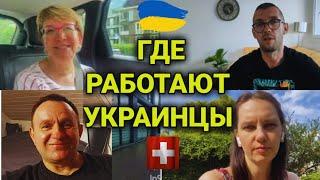 украинцы в Швейцарии- 2 | работа, пособия, трудности адаптации