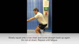 Physiotherapy: Chair squats