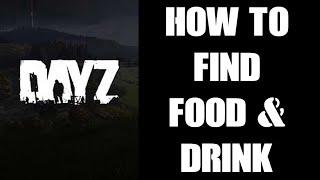 Beginners Guide How & Where To Find Food, Drink & Water: Strategies To Survive In DayZ PC PS4 Xbox