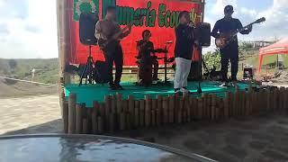 Lagu Plumeria Ecopark