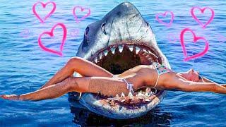 What if Jaws was a Love Story...