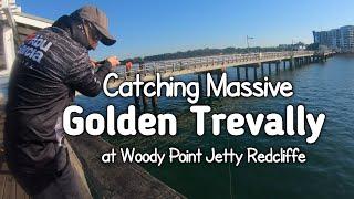 GT at Woody Point Jetty | Redcliffe Fishing