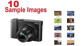 Compact LUMIX ZS100/TZ100 Photography [SAMPLE IMAGES] Advanced Travel Camera with 1" Sensor
