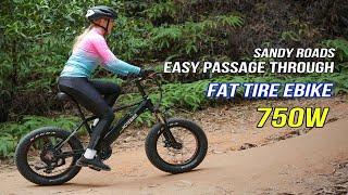 HOTEBIKE 750W Fat Tire Electric Mountain Bike 20" Ebike (A6AH20F)