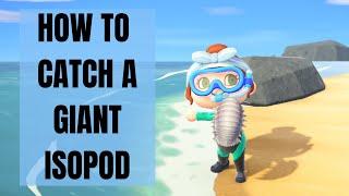 HOW TO CATCH A GIANT ISPOD | Animal Crossing New Horizons Tutorial Summer Update Wave 1 Game Play