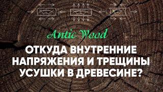 Откуда внутренние напряжения и трещины усушки в древесине? Авторский #паркет AnticWood.