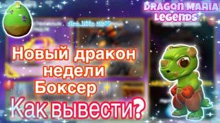 НОВЫЙ ДРАКОН НЕДЕЛИ БОКСЕР | ВЫВЕДЕНИЕ | НОВАЯ АКЦИЯ «ПОИСК СОКРОВИЩ» | Dragon Mania Legends