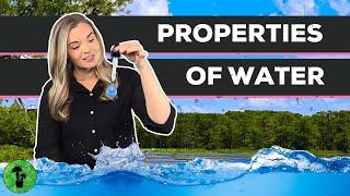 Properties of Water | Cohesion & Adhesion