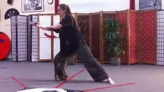 wushiba jian 58 sword movement with Susette Jenkins 2011