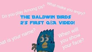 The Baldwin Birds 2's first Q&A video! 50 Subscribers special! (READ DESCRIPTION)