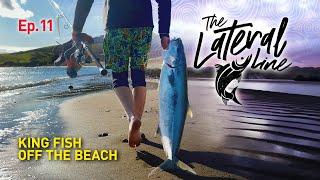 Fishing top water lures off the beach in New Zealand