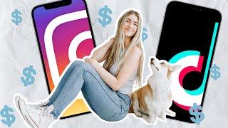 How We Make Money as a Pet Influencer | Where to Start Making Money on Instagram