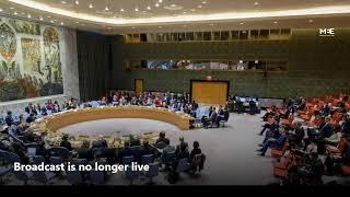 LIVE: UN Security Council discuss the Palestine