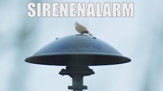 Sirenenalarm