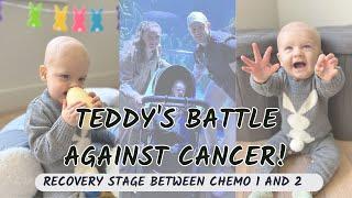 TEDDY BEARS BATTLE AGAINST CANCER! - COUNT RECOVERY STAGE IN BETWEEN CHEMO 1 AND CHEMO 2!