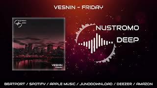 Vesnin - Friday (Original Mix) (Preview)