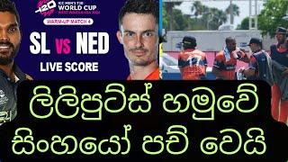 T20 World Cup 2024 live - Sri Lanka Vs Netherlands - Netherlands beat Sri Lanka in first warm up