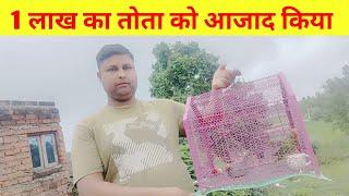 आजाद किया पक्षी को | पक्षी को आजाद किया | Green Parrot | Parrot ko Maine Pinjra se Aazad Kar diya