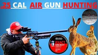 Long Range Rabbit Hunting - With 60 FT/LB air rifle