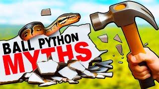 Everything You Know About Ball Pythons is Wrong!