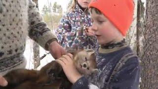 Is trapping a good activity for kids?