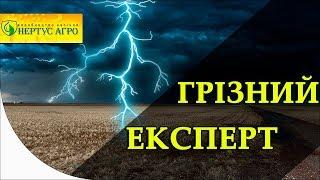 Грозный Эксперт в борьбе с сорняками от Нертус