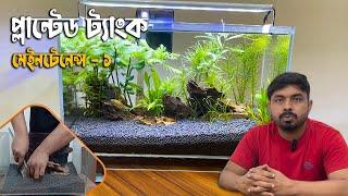 প্লান্টেড ট্যাংক মেইনটেনেন্স - ১ | Planted Tank Maintenance | Fayyad Agro