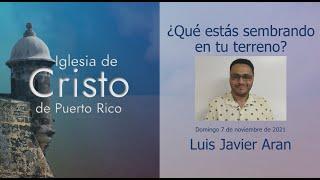 ¿Qué estás sembrando en tu terreno? Por: Luis Javier Arán