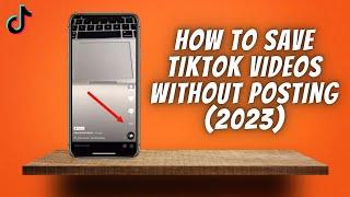 How To Save TikTok Videos Without Posting   Download Tik Tok Video To Your Phone Gallery!
