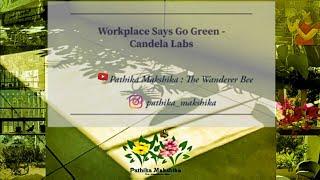 Workplace Says Go Green - Candela Labs