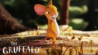 Mouse is getting too confident! @GruffaloWorld: Compilation