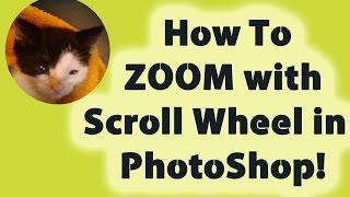 How To ZOOM with Your Scroll Wheel in Photoshop!