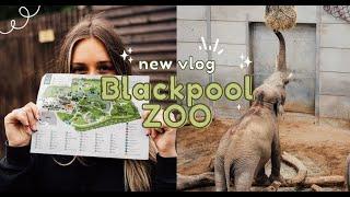 A DAY AT BLACKPOOL ZOO / #vlog