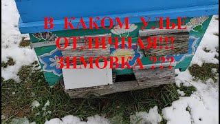 Как организовать зимовку в разных типах ульев??? Правильная вентиляция!!!