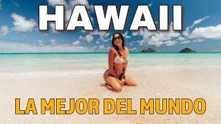 HAWAII: ¿Son Realmente las Mejores Playas?  | Zorito y Doug