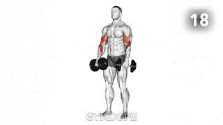 Forearm exercises forearm workout with dumbbells forearm curls