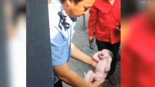Abandoned newborn rescued from toilet