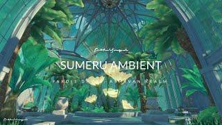 Pardis Dhyai Inside The Dome Sumeru Ambient Background Music Forest Sound (40 Min) | Genshin Impact