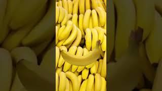 #funny  going bananas #fun #shorts