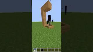 Minecraft Weird Logic Part 19  #shorts#minecraft