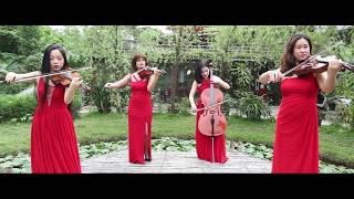 Tự Nguyện - Apaixonado Quartet