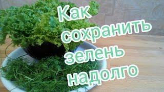 Как сохранить зелень в холодильнике свежей надолго