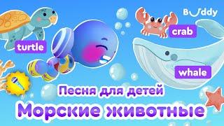 Морские животные | Детские песни на английском языке | Песня для детей | Buddy.ai