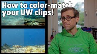 How To Color Match Underwater Video Clips! ‍️ | FCPX TUTORIAL