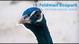 Feldman Ecopark