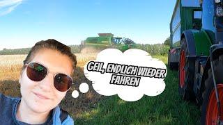 #vlog2 Getreideernte 2024, Endlich wieder Treckerfahren (Achtung Frau am Steuer)...