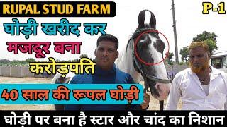 The owner will spend Rs 45 lakh on the 40 year old mare Rupal after her death - Rupal Stud Farm