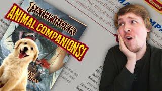 ALL NEW ANIMAL COMPANIONS!! - PATHFINDER (2E) ADVANCED PLAYER'S GUIDE!