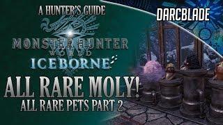 ALL RARE MOLY : MHW ICEBORNE : ALL RARE PETS PART 2